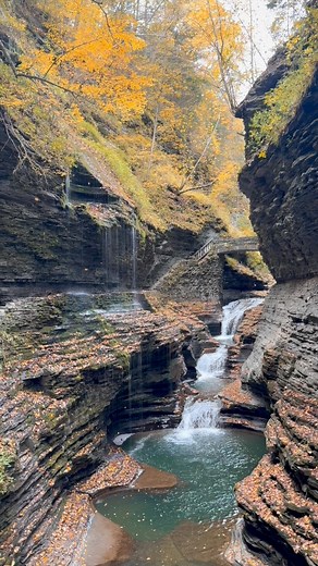 3.2K views · 70 reactions | A stunning display of leaves raining over rainbow falls  we visited during peak foliage, and if you waited long enough for a little breeze to reach the trees in the gorge - you’d get to see this! One of my all time favorite autumn moments #fall #fallfun #autumn #newyork #waterfall #watkinsglen #fingerlakes #UpstateNY | Carlo of the Forest | Facebook