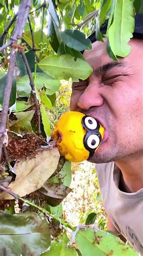 Red ants and man cake