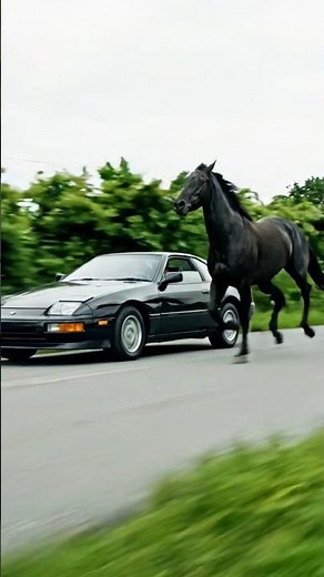 RAW POWER: Black Supra vs. Black Stallion on the Open Road #Supra #JDM #HorsePower #CarVsHorse