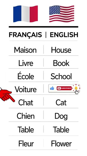 🌍 Learn French and English with short, practical lessons!