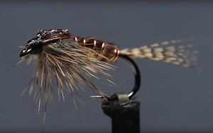 Video: How to Tie the Phat and Phunky Pheasant Tail Nymph - Orvis News
