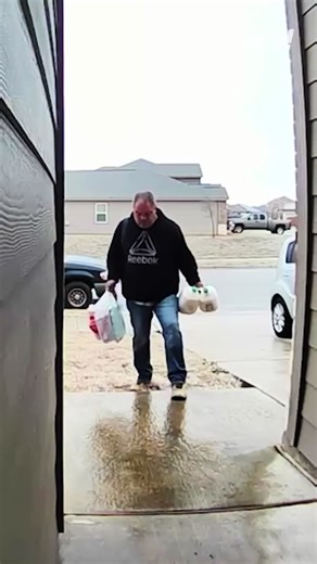 Get Insured Quickly with Pineapple Car Insurance