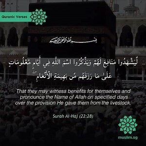 It is part of the Sunnah to recite the Takbir from the Subuh of the day of Arafah until the Maghrib of 13th #Zulhijjah. Most scholars view that the ‘specified days’ here refers to the first 10 days of Zulhijjah. Some view that it refers to the day of sacrifice itself (10th Zulhijjah) and the 3 days that come after. Let us fill our days with pronouncing the glorious name of Allah s.w.t. and celebrate Hari Raya by also sharing the joy with those in need. | Muslim.Sg