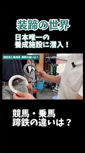 競走馬/乗用馬の蹄鉄は何がどう違う？【元騎手が装蹄師を取材】
