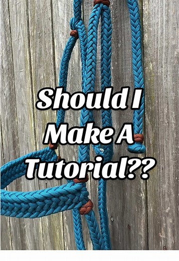 Halter Tutorial: Create Your Own Horse Halters