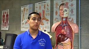 Bachelor of Science in Physiotherapy