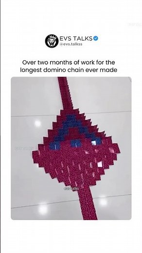 This Domino Chain Took Over 2 Months to Build 😳🧱 | Insane Dedication!