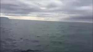 622K views · 14K reactions | Check out this unbelievable video from Alaskan fisherman Brad Rich. He calls the experience "one of the most amazing" things he's ever seen. | Fox & Friends | Facebook