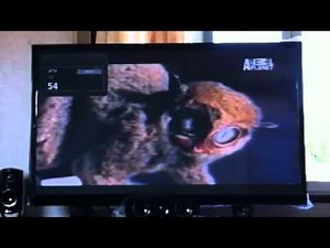 Global Destiny Cable TV