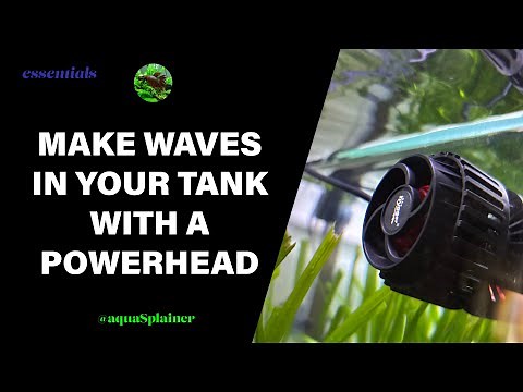 Give your tank a current with a wave maker 🌊