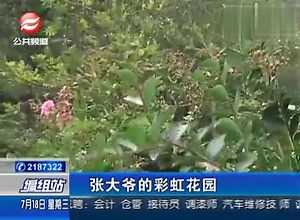 0718 编组站全部内容