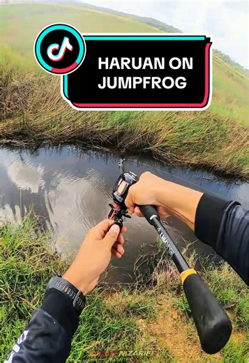 Topwater Fishing with Haruan using Jumpfrog