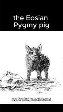 Pig Seed World - Jotunheim - The Pygmy Pig