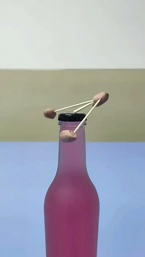 Swing Balance Experiment #swingbalance #physicsfun #balanceexperiment