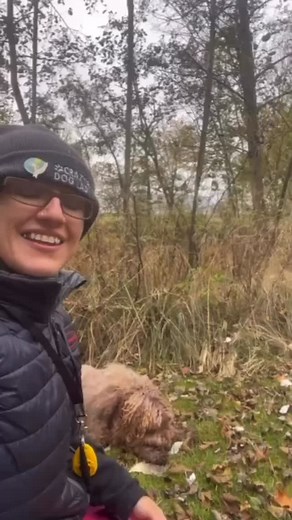 If your dog struggles with fireworks, ideally they’d benefit from a...