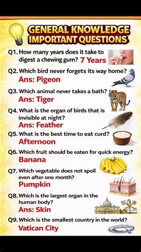 ⚡ 10 GK questions in 10 seconds – Ready?