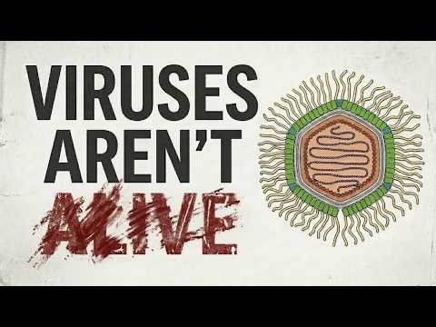 Forget Pandemics: What Giant Viruses Actually Mean for Us?