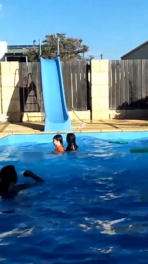 1.8K views · 18 reactions | Aww Cozzas voice in the background  | Renee Mackenzie | Facebook