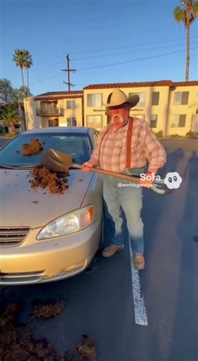 Wilford shovels manure on Perry's car.
