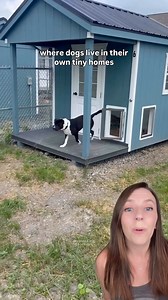 5M views · 271K reactions | This rescue just built tiny homes for...