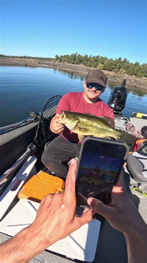 Mid Musky largemouth bass #muskyfishing #fishing #fypシ