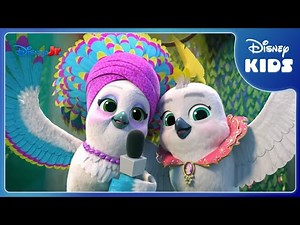 Ας τραγουδήσουμε όλοι μαζί! | Σούπερ Γατάκια | Disney Kids Greece
