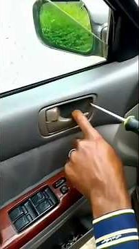 Toyota Camry Door Carpet or Door Panel Removal (Step by Step)