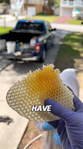 Why are honeycomb cells hexagonal?#shorts