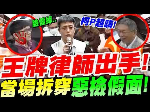 【全字幕】青鳥惡檢林俊言、廖彥鈞翻車！柯文哲嗨翻了！王牌律師廖威智出手！當場拆穿廖彥鈞、林俊言假面！全場看完都怒了！沈慶京辯護人－廖威智 京華城案法院錄影畫面#柯P#阿北#林俊言