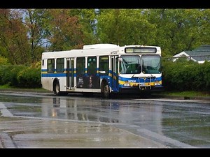 TransLink 1996 New Flyer D40LF - H7208