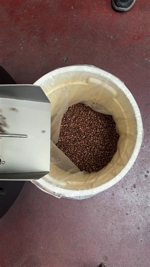 Take your sales to the next level with the best-converting checkout on the planet | Shopify