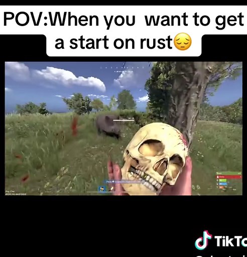 GhostPrintV on TikTok