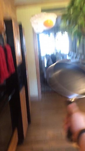 Egg Flip Tutorial - Mastering the Art of Eggodynamics