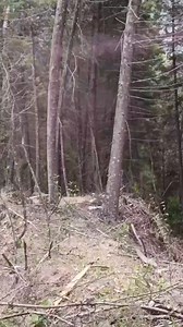 #femmilsim #yojuegoPaintball #paintball #paintballmilsim #paintballcolombia #paintballmedellin #campo #paintballlife #paintballers #fyp #viral #friends #medellin #colombia #milsim | Fuerzas Especiales Milsim FEM