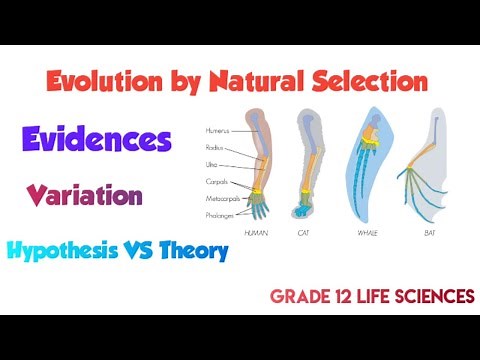 Evolution by natural selection - Evidences and Variation