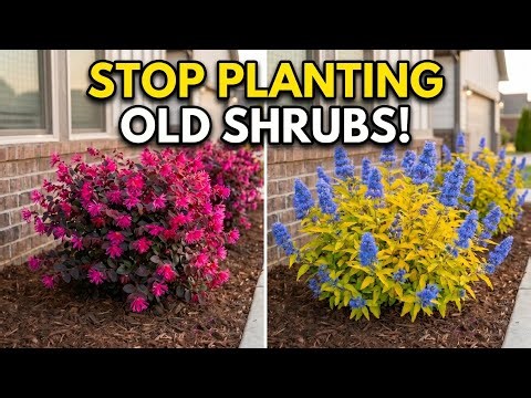Stop Planting Old Shrubs! 7 Brand New 2026 Bushes Before They Sell Out