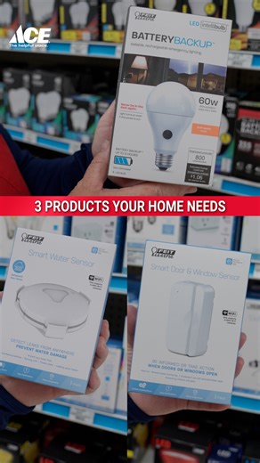 22K views · 81 reactions | ✨ Keep your home safe and secure in 2025 with these 3 must-have essentials from @FeitElectric!  What DIY project is topping your list this year?  #AceHardware #TheHelpfulPlace | Ace Hardware | Facebook