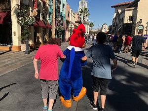 Universal Acceptance