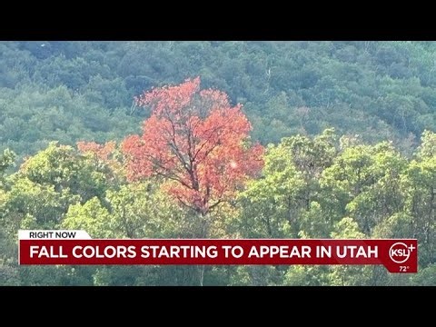 Fall colors starting to show in Utah, but this season may not be as vibrant