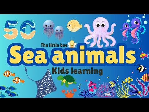 50 Sea Animals, Dive into the Ocean with 50 Sea Animals | Children Educational Video
