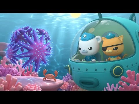 Octonauts Save the Reef from the Starfish Swarm Full Episode Great Barrier Reef Rescue