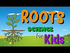 Roots | Science for Kids