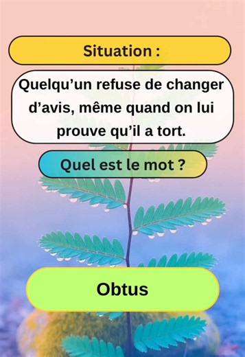 Quel est le mot ?! #quiz #quelestle #mot #francais #fpy