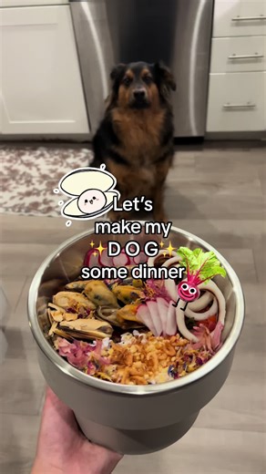 Kit’s got some beef with 🦑 today 💪 ✨WHAT’S FOR DINNER?✨ @Open Farm Pet Raw Mix Front Range Recipe @Dr. Harvey's Veg to Bowl @Viva Raw Beef ✨TOPPERS✨ Cottage Cheese with dried blueberries from @Everythingdogs_official Skylar Treats Herring Fish Squid Rings Dried and Steamed Green Lipped Mussels @Arya.Sit Quail Eggs (from @Sunshine Pet Boutique) and Baby Shrimp Radish Rose Petals Flower Power from Everything Dogs ✨DISCOUNTS✨ Open Farm - KITWITHFOOD Dr. Harveys - KIT10 Viva Raw - KITWITHFOOD Ever