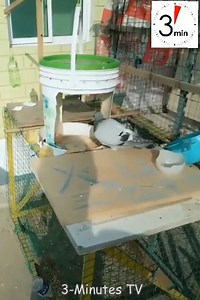 83K views | Human creativity is without limits樂 | Funny Video & Picture | Facebook