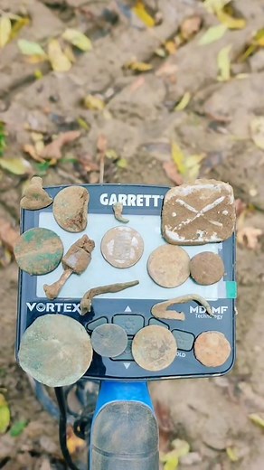 Garrett vortex VX9 | Subdetection Xavier