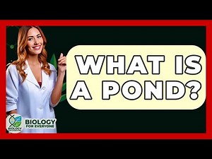 What Is A Pond? - Biology For Everyone