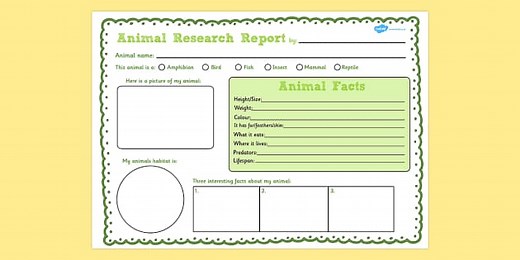 Animal Research Writing Frame