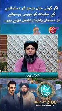 Agar koi jaan-boojh kar Musalmano ke jazbaat ko thes pohanchaye to Musalman react toh karega |Aan TV