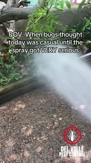 Pests should never underestimate the spray, even on a seemingly “casual” day. Keeping pests out before they ever get in — that’s what we do. 📞 RGV: (956) 433-3348 📞 San Antonio: (210) 600-0072 #pestcontrol #behindthescenes #pestcontrolservice #rgv956 #sanantoniotx